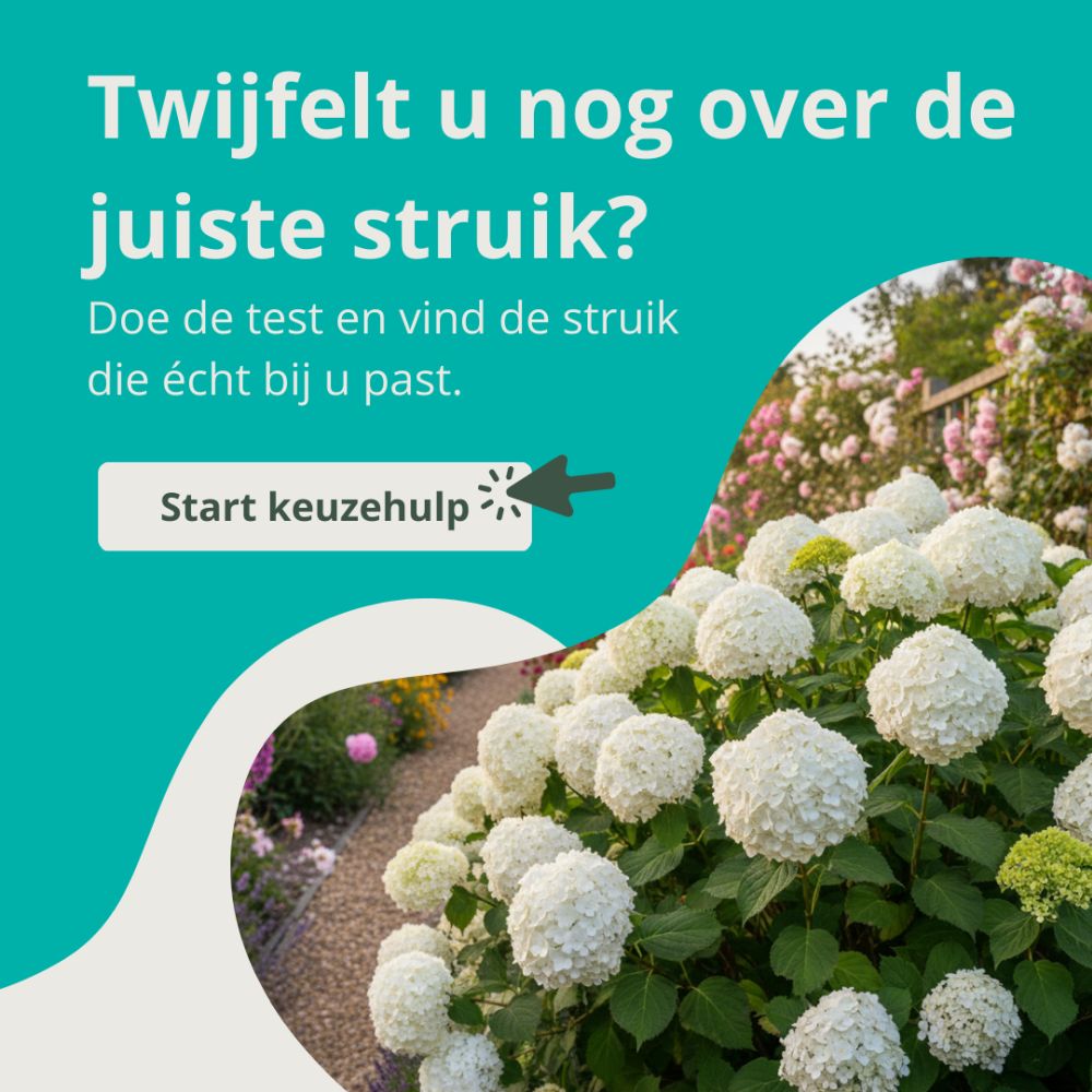 Keuzehulp